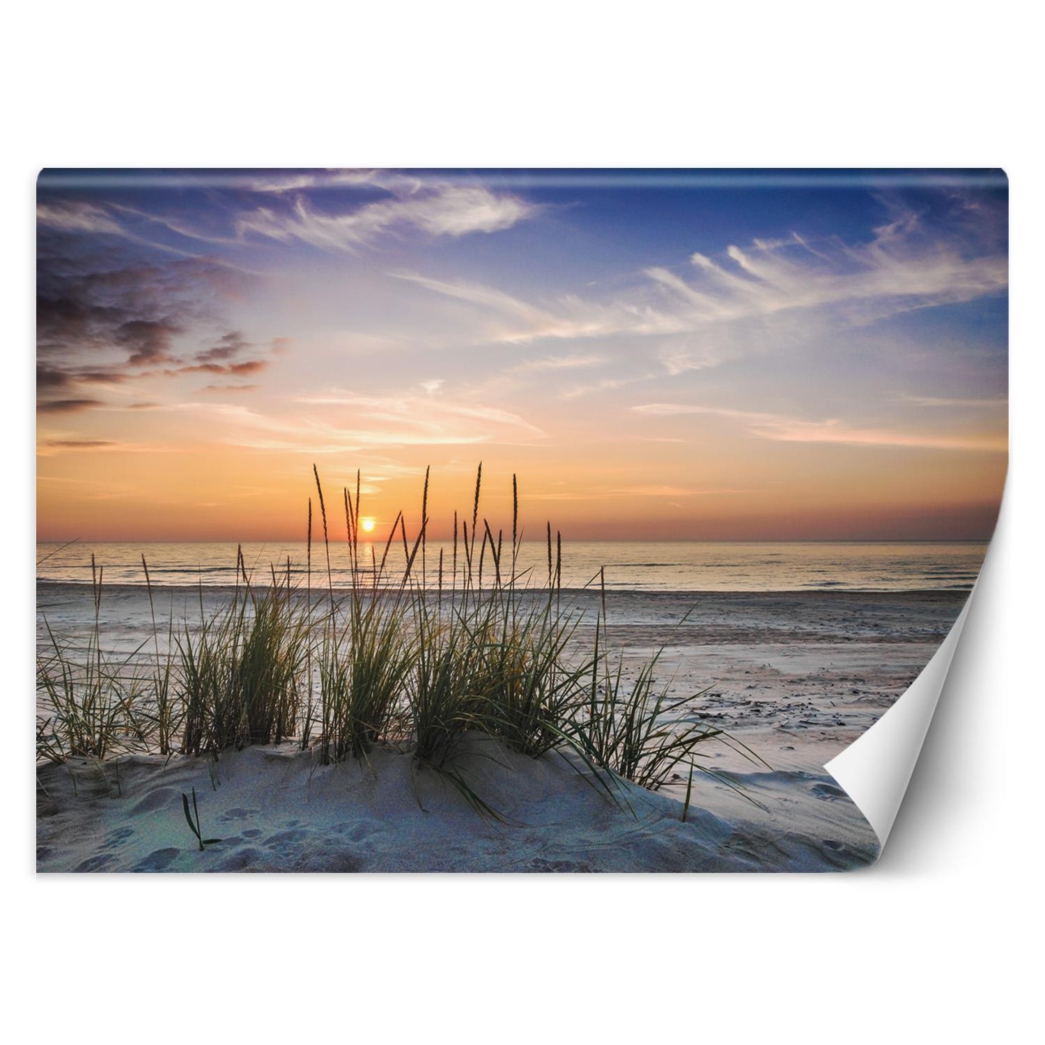 Abstract and modern style living room wall mural grass on the beach at sunset