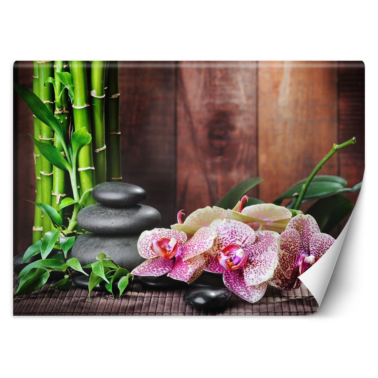 Bamboo orchid and pebble wallpaper with a dark wood finish background