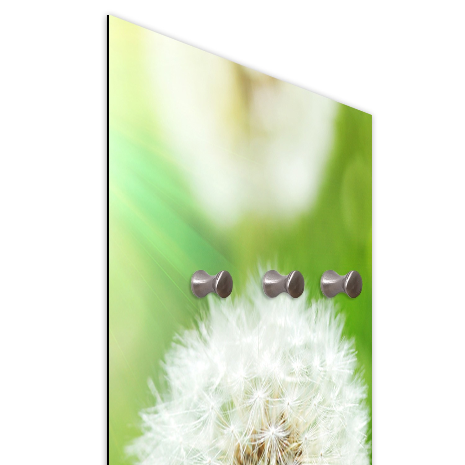 Coat rack made of fiberboard and satin paper with a drawing of a dandelion in the foreground